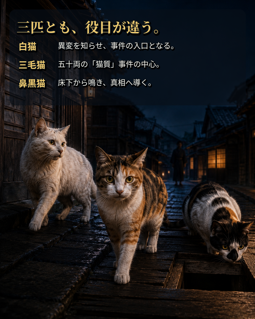 白猫・雄の三毛猫・鼻黒猫それぞれの役割を紹介するカルーセル