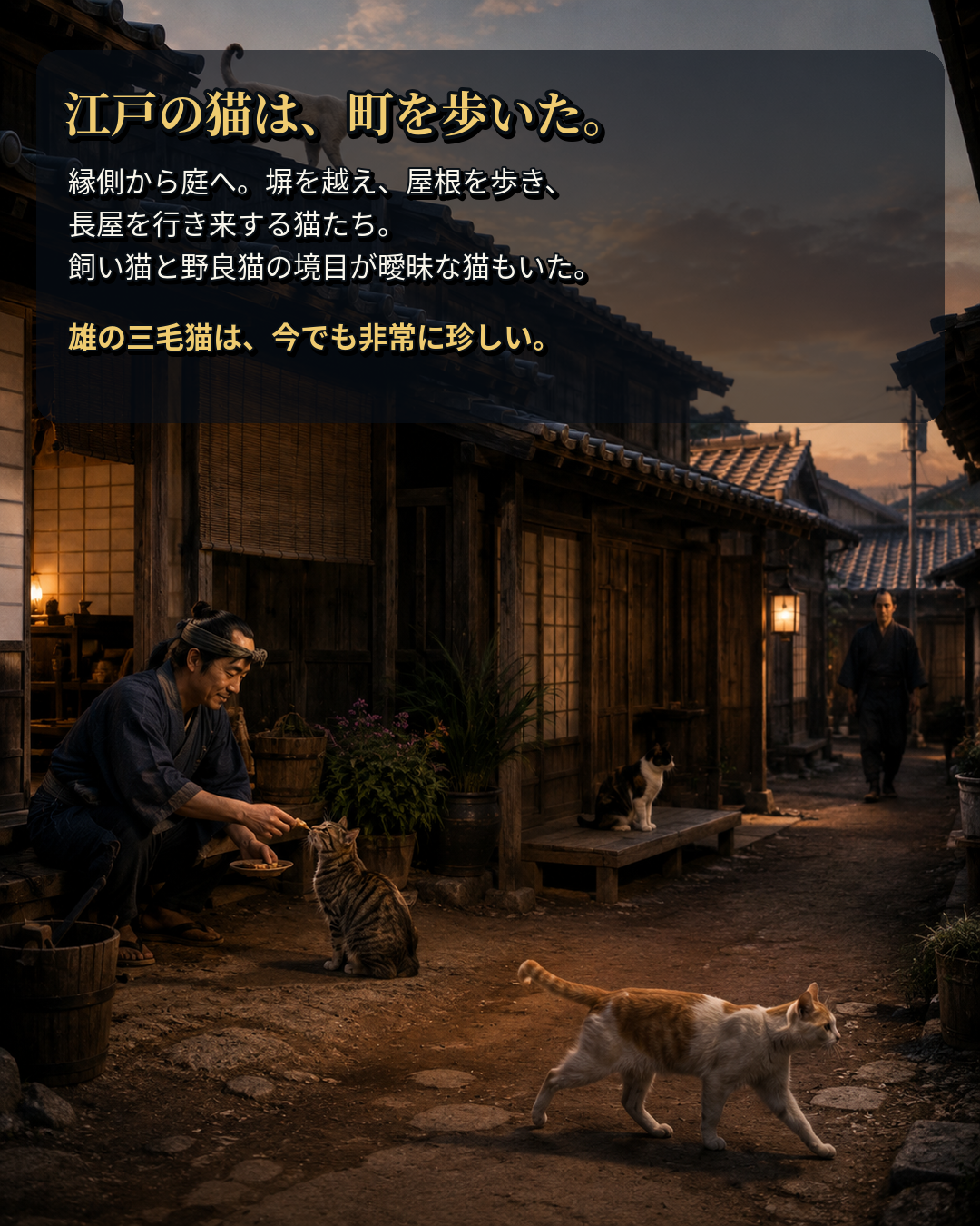 江戸の長屋や屋根を自由に行き来する猫の暮らしを紹介するカルーセル